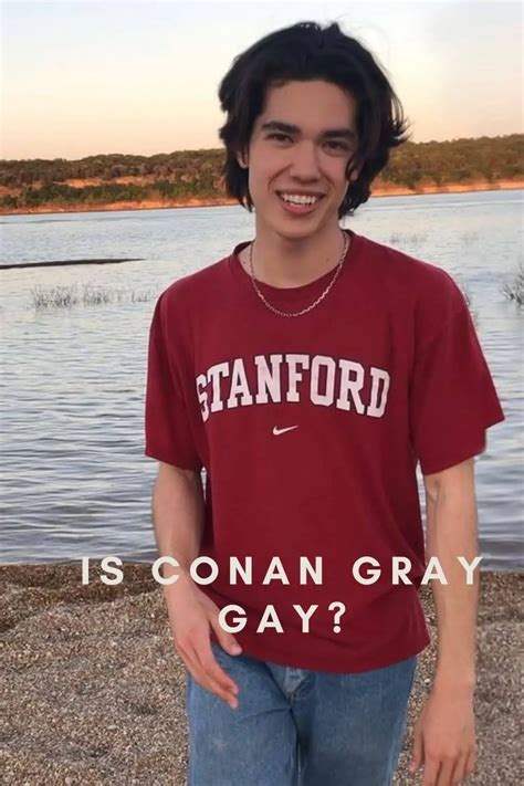 is conan gray gay|OMG guys just found out heather might be a gay song